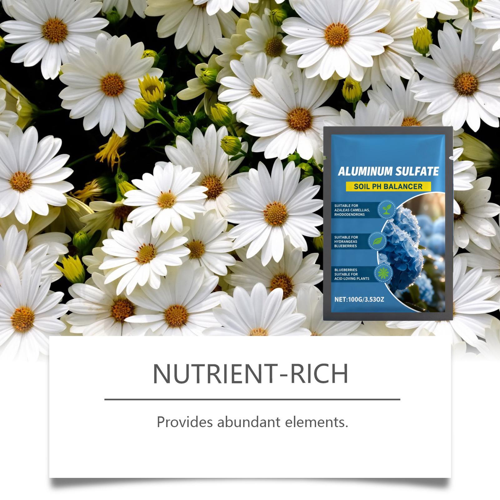 Suplemento Nutritivo Concentra - Nutrition & Fitness Station reseña y precio