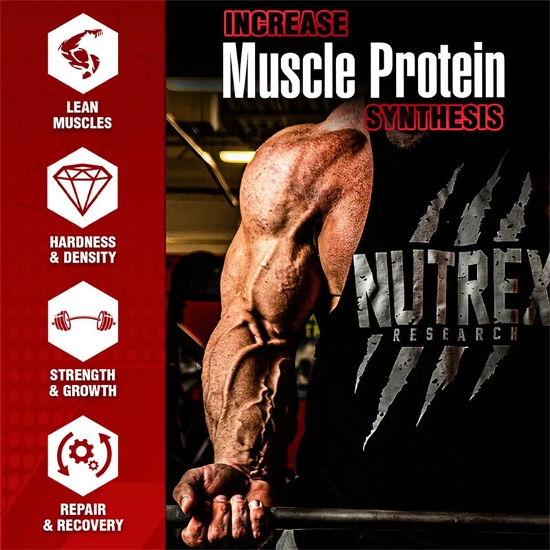 Suplemento Anabol Hardcore: ay - Pre Workout Supplement reseña y precio